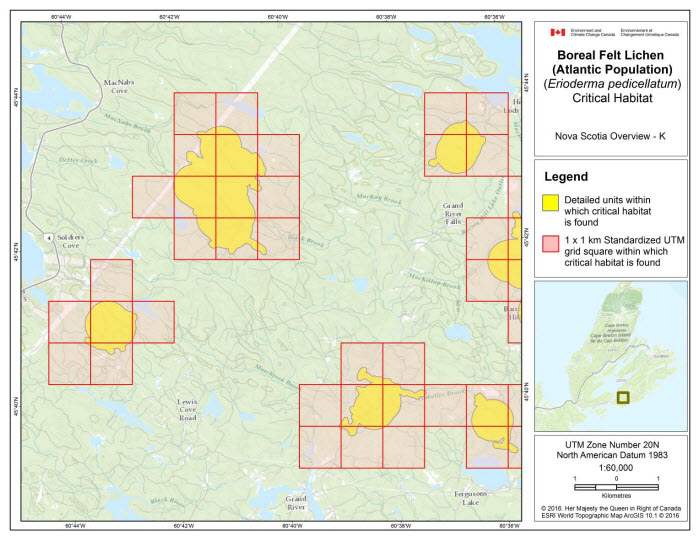 Map of Nova Scotia Overview K  (see long description below)