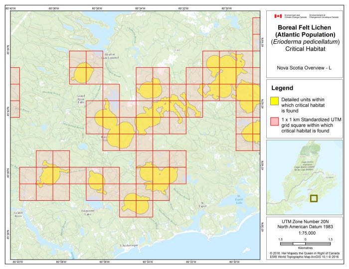 Map of Nova Scotia Overview L (see long description below)