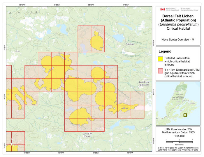 Map of Nova Scotia Overview M  (see long description below)