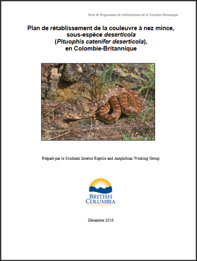 Photo de la couverture de document - partie 2