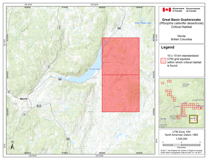 Map of Nicola, BC. (see long description below)