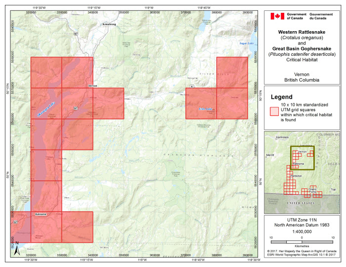 Map of Vernon, BC. (see long description below)