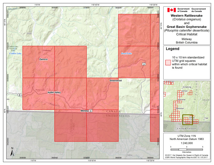 Map of Midway, BC. (see long description below)