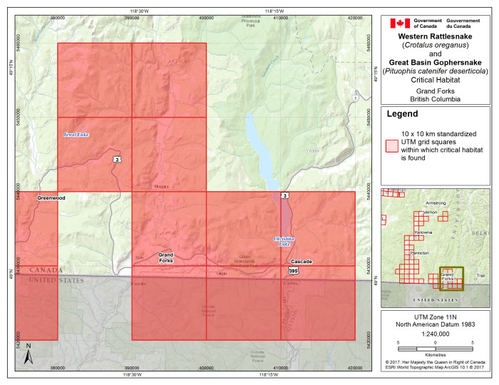 Map of Grand Forks, BC. (see long description below)