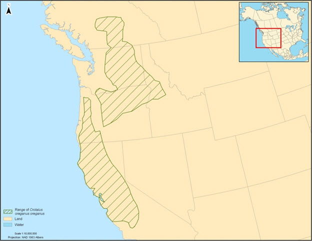 Map of North American distribution (see long description below)