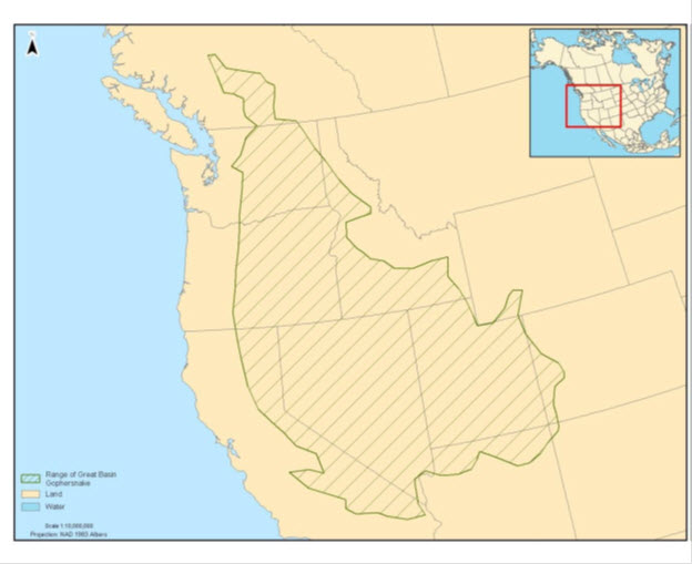 Map of North American distribution (see long description below)