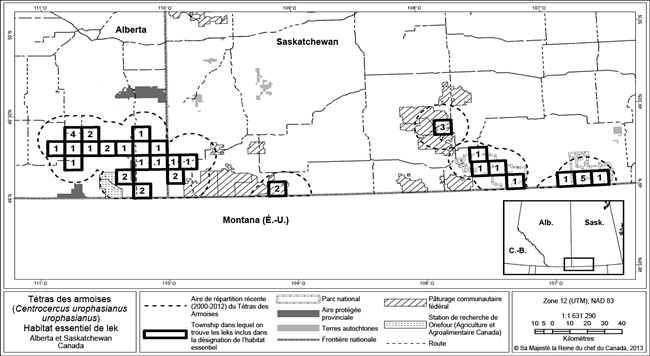 La figure 2 est une carte présentant l'habitat essentiel pour les leks pour le Tétras des armoises dans le sud-est de l'Alberta et le sud-ouest de la Saskatchewan. (Voir description longue ci-dessous.)