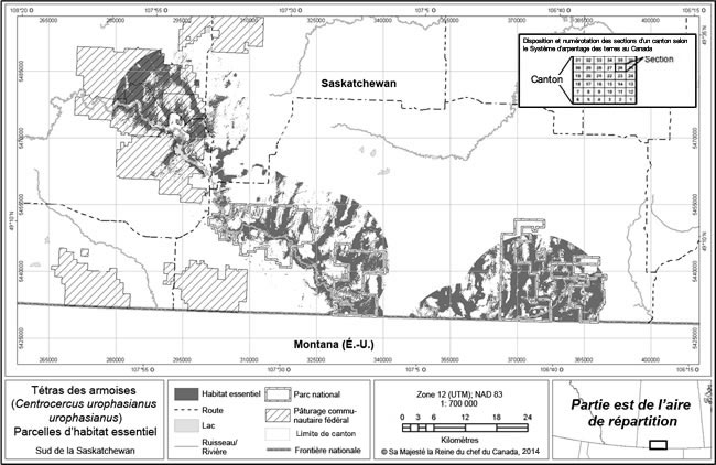 La figure 4 est une carte de l'habitat essentiel pour l'hivernage, la nidification et l’élevage des poussins du Tétras des armoises, obtenue par modélisation, pour la partie est de l'aire de répartition de l'espèce au Canada, qui comprend une partie du sud-ouest de la Saskatchewan. (Voir description longue ci-dessous.)