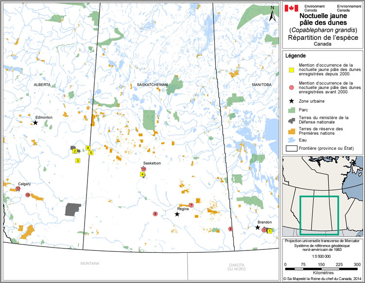 Répartition des mentions d'occurrence de la noctuelle jaune pâle des dunes au Canada