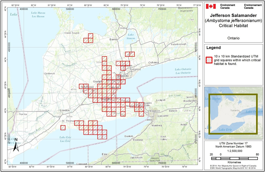 Grid - See long description below figure 2