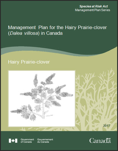 Photo of document cover