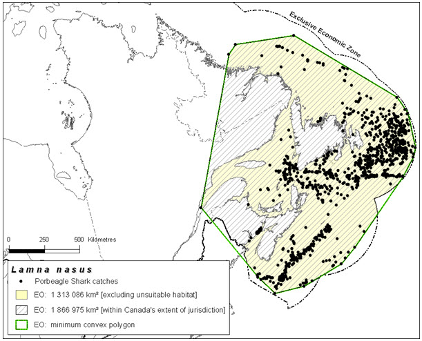 Extent of occurrence (EO) of Porbeagle in Canadian waters