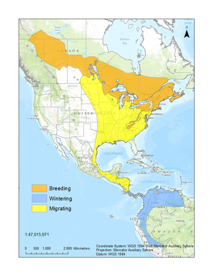 the eastern slope of the Andes in Ecuador and northern Peru 