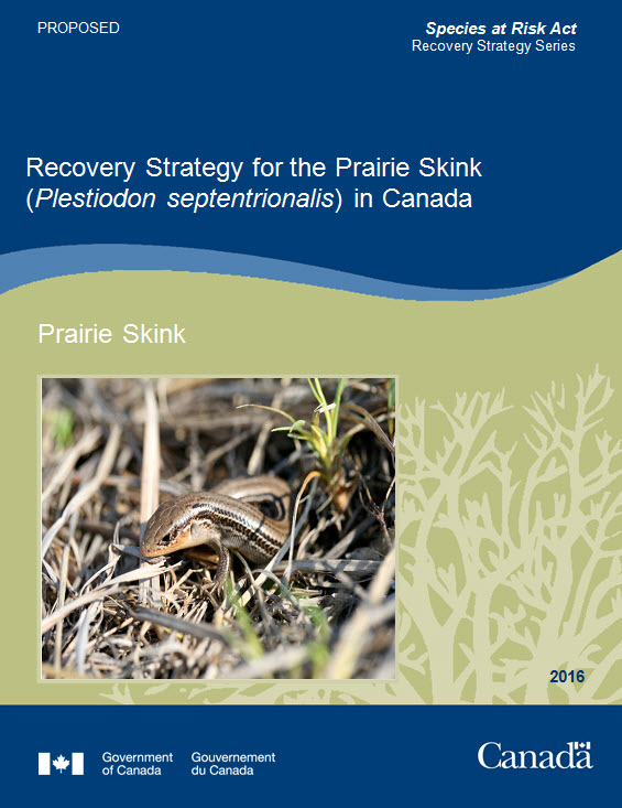 Recovery Strategy for the Prairie Skink