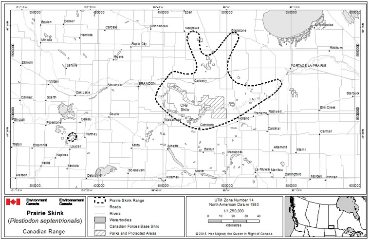 The Canadian range of the Prairie Skink