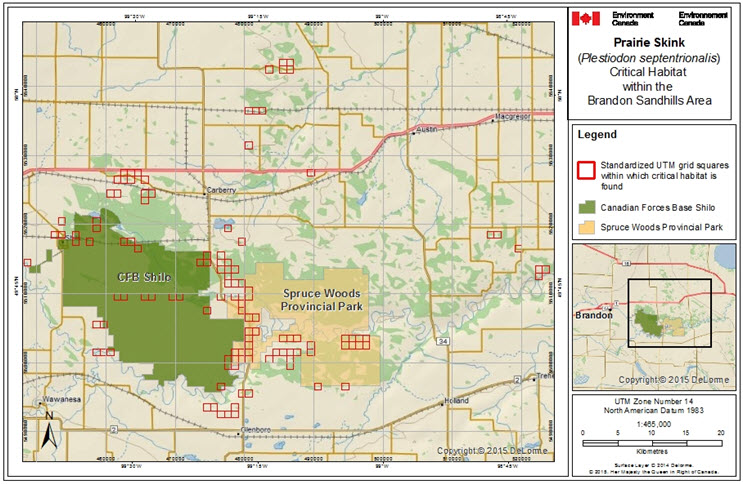 Critical habitat for the Prairie Skink in the Brandon Sandhills area