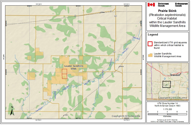 Critical habitat for the Prairie Skink in the Lauder Sandhills area