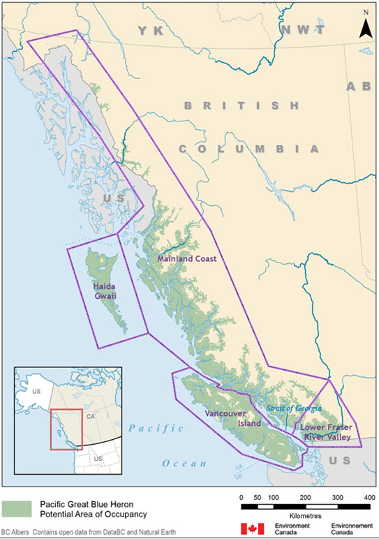 Canadian range of the Pacific Great Blue Heron