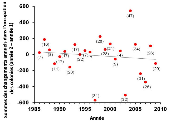 Répartition de du Grand Héron en Colombie Britannique