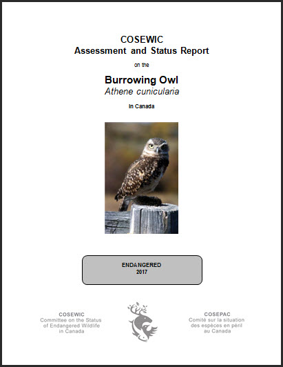 COSEWIC Assessment and Status Report on the Blanding’s Turtle