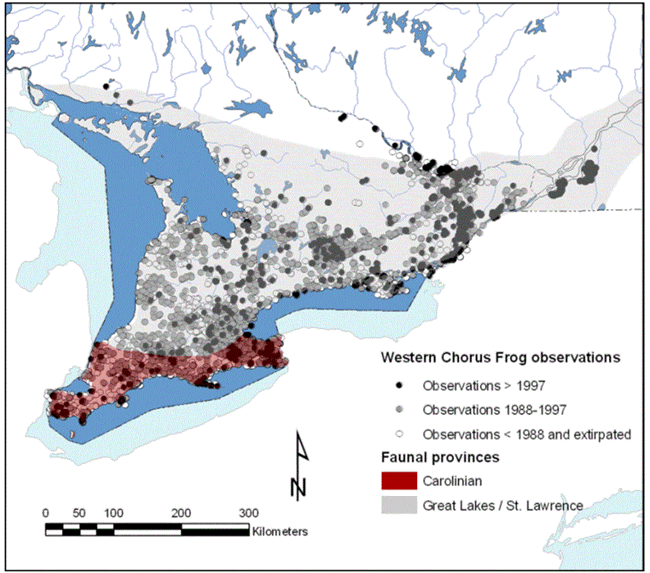 Map showing Western Chorus Frog observations in southern Ontario and Quebec
