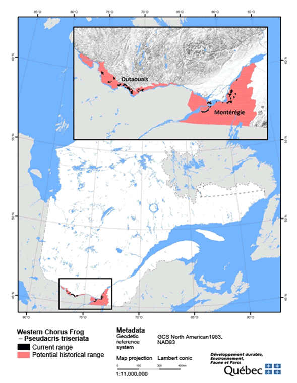 Map showing the potential historical range of the Western Chorus Frog (GLSLCS) in the Outaouais and Montérégie regions of Quebec