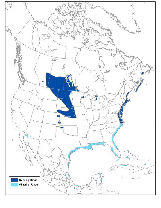 Figure 2. Breeding and wintering ranges of the Piping Plover (modified from Haig 1992).