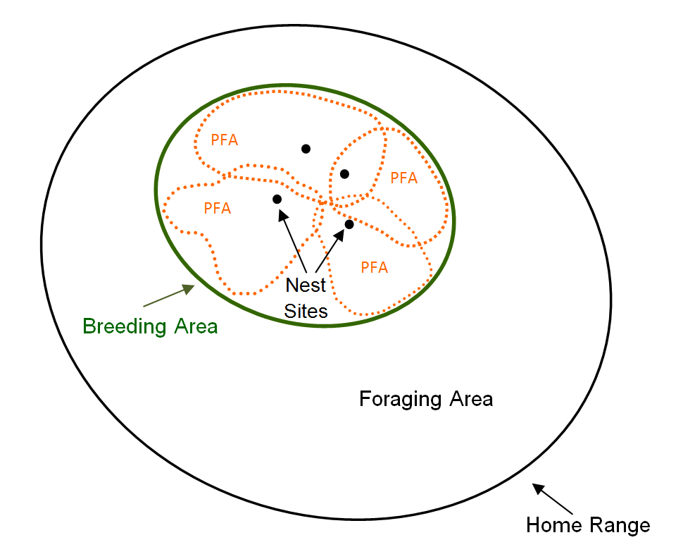 diagram, long description below