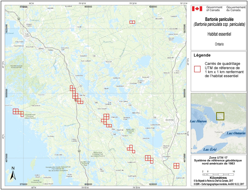 Carrés du quadrillage renfermant de l'habitat essentiel