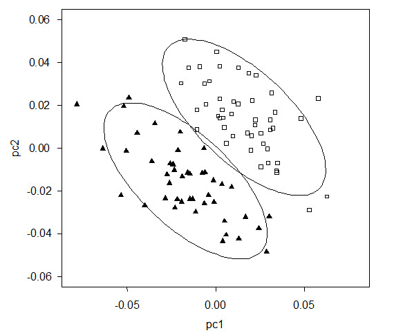 two clusters identified by MCLUST analyses of shape carried out