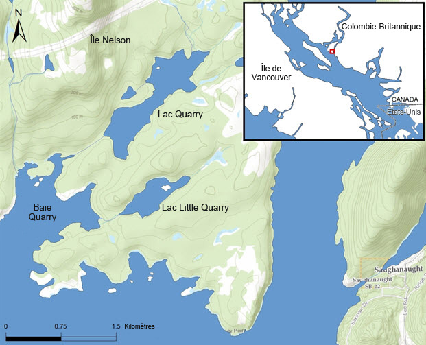 L'aire de répartition des  formes benthique et limnétique