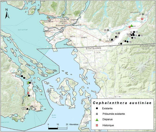 Répartition de la céphalanthère d'Austin en Colombie-Britannique.