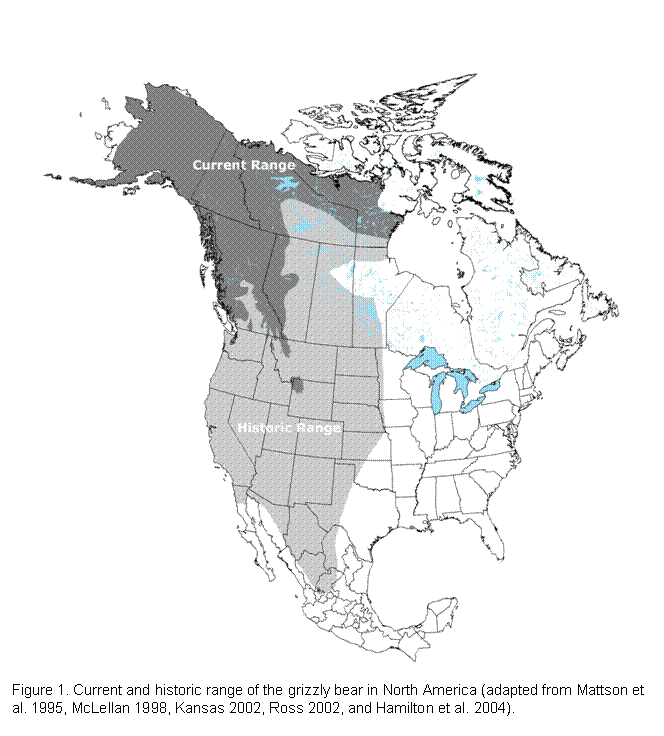 Text Box: Figure 1. Current and historic range of the grizzly bear in North America (adapted from Mattson et al. 1995, McLellan 1998, Kansas 2002, Ross 2002, and Hamilton et al. 2004). 