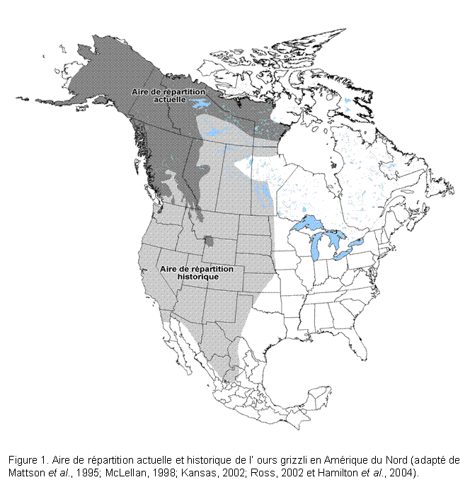 Text Box: Figure 1. Aire de répartition actuelle et historique de l’ ours grizzli en Amérique du Nord (adapté de Mattson et al., 1995; McLellan, 1998; Kansas, 2002; Ross, 2002 et Hamilton et al., 2004). 