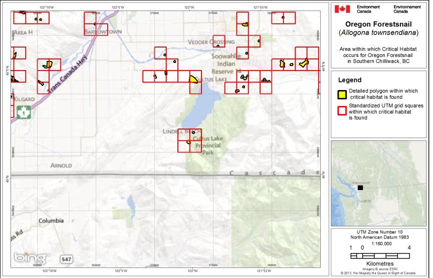 Map of B.C - Southern Chilliwack
