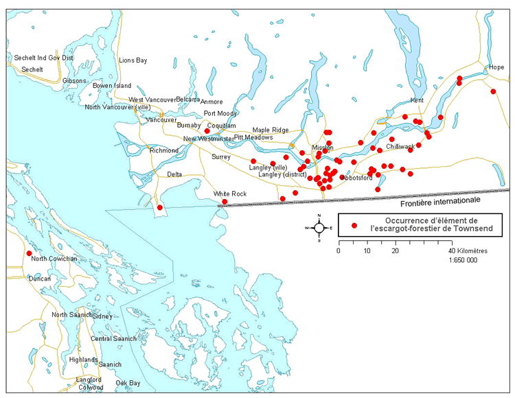 Carte : Occurence d'élément de l'escargot-forestier de Townsend