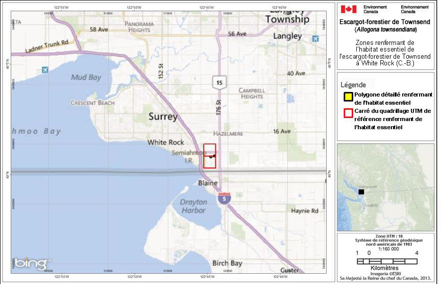 Carte : White Rock (C.-B.)