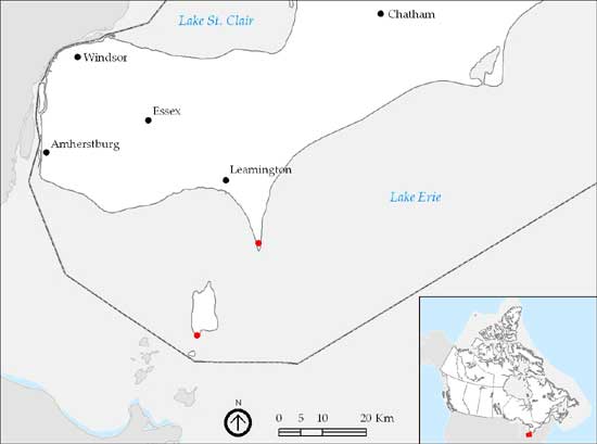 Figure 2: Distribution of extant, native populations of Eastern Prickly Pear Cactus in Canada.