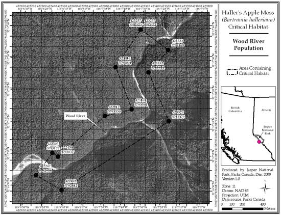 Figure 11: Location of critical habitat at Wood River, British Columbia (parcel 689_10). Refer to the text for a description of critical habitat, required habitat attributes and areas excluded from critical habitat.