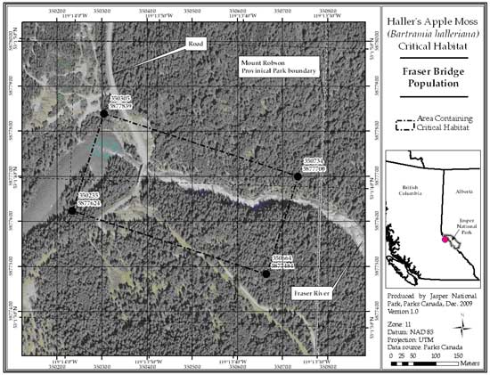Figure 5: Location of critical habitat at Fraser River Bridge, British Columbia (parcel 689_4). Refer to the text for a description of critical habitat, required habitat attributes and areas excluded from critical habitat.