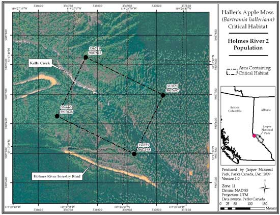 Figure 7: Location of critical habitat at Holmes River 2, British Columbia (parcel 689_6). Refer to the text for a description of critical habitat, required habitat attributes and areas excluded from critical habitat.