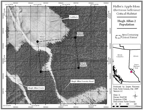 Figure 9: Location of critical habitat at Hugh Allan 2, British Columbia (parcel 689_8). Refer to the text for a description of critical habitat, required habitat attributes and areas excluded from critical habitat.