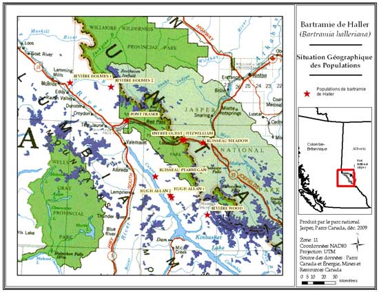 Figure 1: Situation géographique des populations de bartramie de Haller au Canada. Les zones en bleu foncé figurent des glaciers, et les zones en vert, des aires protégées.