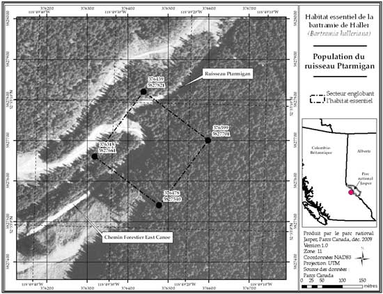 Figure 10: Secteur englobant l'habitat essentiel de la population du ruisseau Ptarmigan, en Colombie-Britannique (parcelle 689_9). Se reporter au corps du texte pour la description de l'habitat essentiel, les éléments de l'habitat essentiel et les secteurs exclus de l'habitat essentiel.