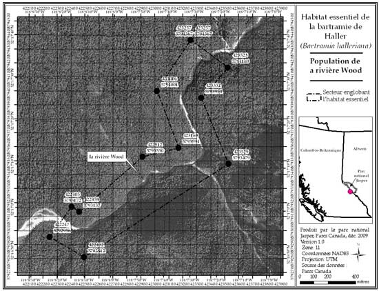 Figure 11: Secteur englobant l'habitat essentiel de la population de la rivière Wood, en Colombie-Britannique (parcelle 689_10). Se reporter au corps du texte pour la description de l'habitat essentiel, les éléments de l'habitat essentiel et les secteurs exclus de l'habitat essentiel.
