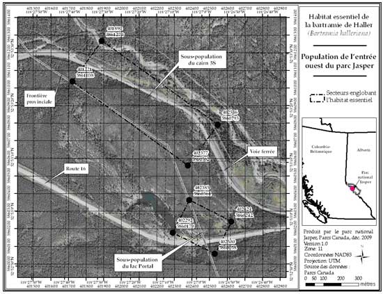 Figure 2: Secteurs englobant l'habitat essentiel de la population de l'entrée ouest du parc national Jasper, en Alberta, et du parc provincial Mount Robson, en Colombie-Britannique (parcelle 689_1).  Se reporter au corps du texte pour la description de l'habitat essentiel, les éléments de l'habitat essentiel et les secteurs exclus de l'habitat essentiel.