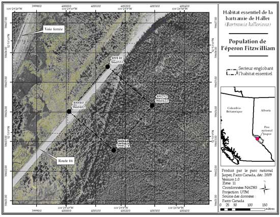 Figure 4: Secteur englobant l'habitat essentiel de la population de l'éperon Fitzwilliam, dans le parc provincial Mount Robson, en Colombie-Britannique (parcelle 689_3). Il est à noter que cette image a été prise avant que les arbres ne soient abattus pour la construction du pipeline. Au sud-est de la route 16, les arbres ont été abattus jusqu'à la bande défrichée traversant l'habitat essentiel. Se reporter au corps du texte pour la description de l'habitat essentiel, les éléments de l'habitat essentiel et les secteurs exclus de l'habitat essentiel.