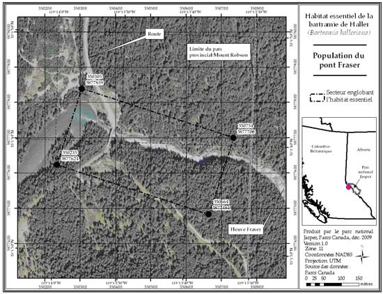 Secteur englobant l'habitat essentiel de la population du pont Fraser, en Colombie-Britannique (parcelle 689_4). Se reporter au corps du texte pour la description de l'habitat essentiel, les éléments de l'habitat essentiel et les secteurs exclus de l'habitat essentiel.