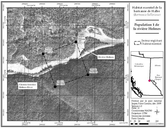 Figure 6: Secteur englobant l'habitat essentiel de la population 1 de la rivière Holmes, en Colombie-Britannique (parcelle 689_5). Se reporter au corps du texte pour la description de l'habitat essentiel, les éléments de l'habitat essentiel et les secteurs exclus de l'habitat essentiel.