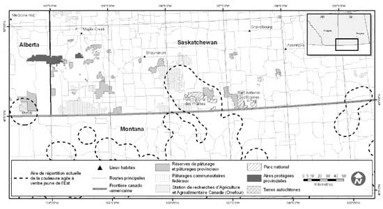 Figure 1: Aire de répartition de la couleuvre agile à ventre jaune de l'Est en Alberta et en Saskatchewan (Canada) et aire de répartition potentielle (Montana Natural Heritage Program, 2009) dans le nord du Montana (États-Unis).